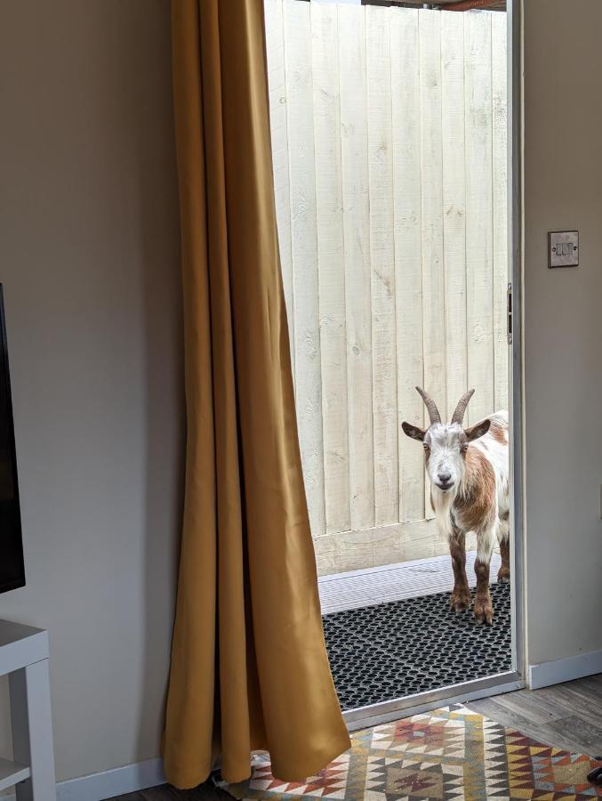 The Piggery Holiday home Witheridge